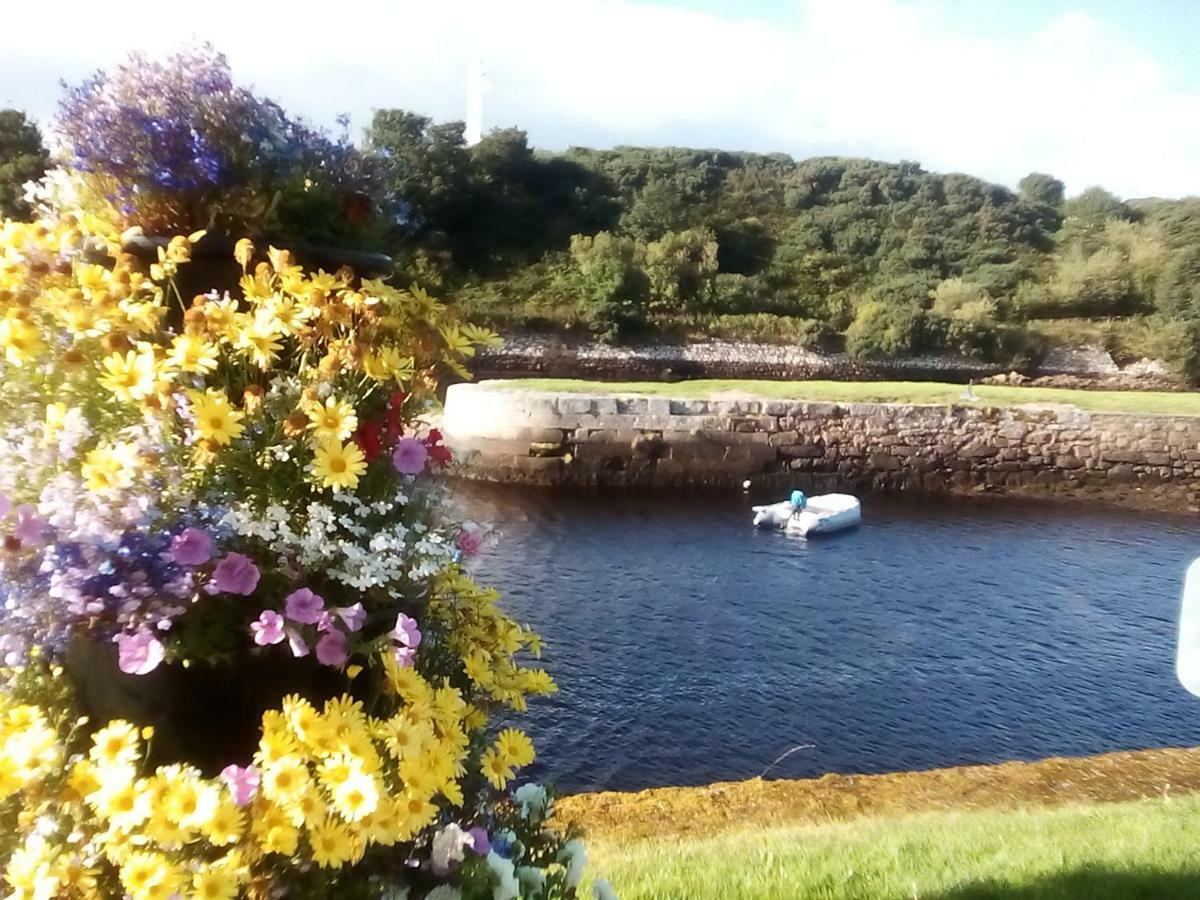 Song Of The Sea, Selkie House Bed & Breakfast Helmsdale Eksteriør bilde