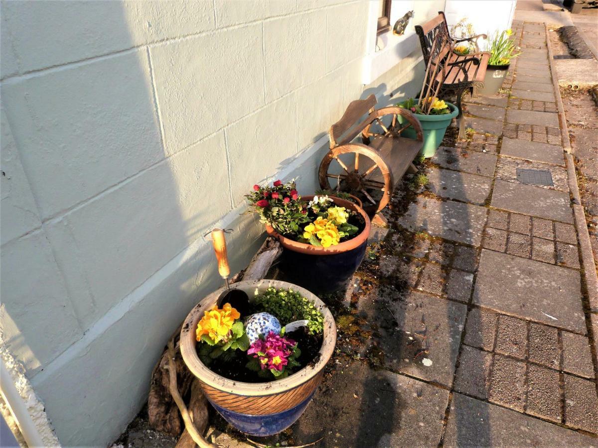 Song Of The Sea, Selkie House Bed & Breakfast Helmsdale Eksteriør bilde