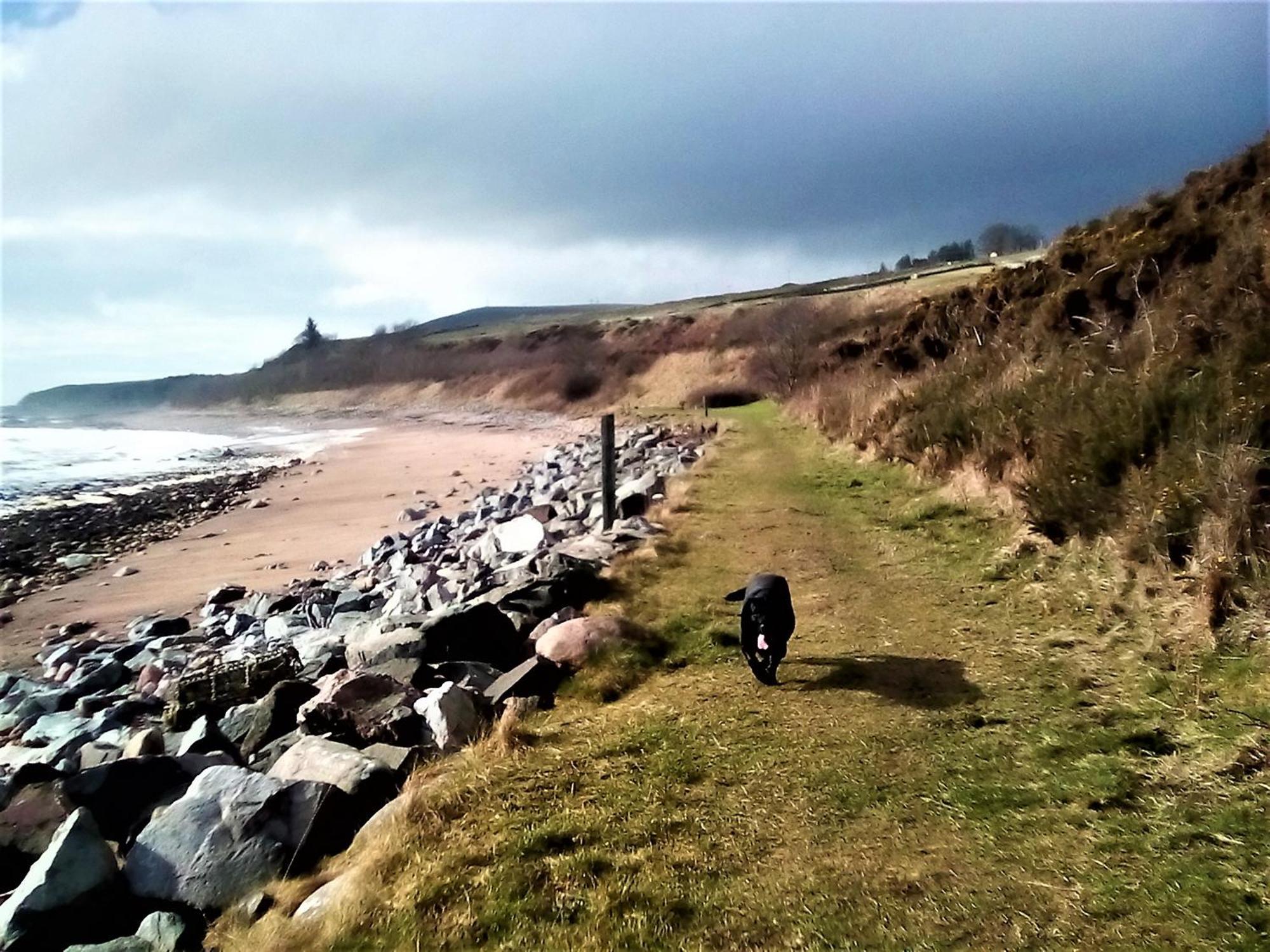 Song Of The Sea, Selkie House Bed & Breakfast Helmsdale Eksteriør bilde